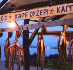 63db09ad-a137-4208-dba5-9b49efda036e