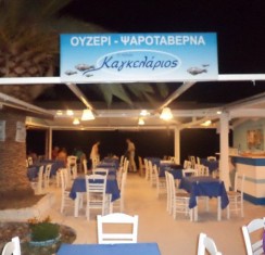 b12bf772-3e8b-4c9f-892c-10fab8bf602f