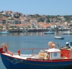 e8182bf3-09d2-4ba5-f31f-6d9c1b05cb1b