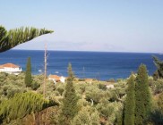 2131b022-e3af-4497-ecfb-785976701813